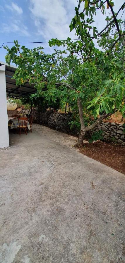 شقة Family House Utjeha بار المظهر الخارجي الصورة